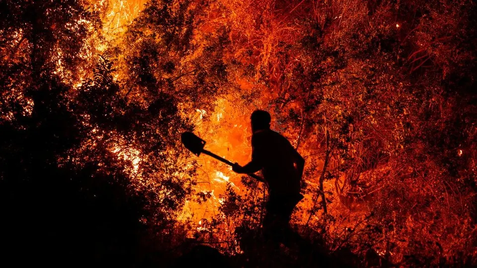 Memahami Dampak Kebakaran Hutan di Turki dan Langkah Penanganannya