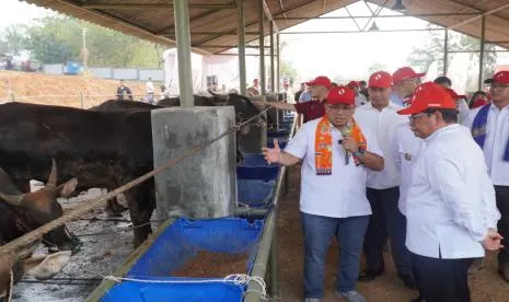 Pembangunan Kawasan Peternakan Terintegrasi Ciangir Senilai Rp1 Triliun Dimulai Akhir 2026