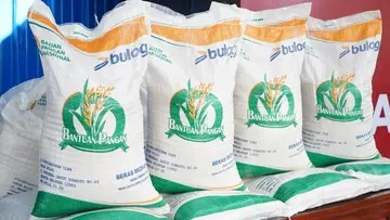 Penyaluran Bantuan Beras Tiga Bulan Serentak Mulai 17 Agustus