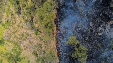 Kebakaran Hutan Gunung Bromo Diduga Dipicu Perapian Pelintas di Blok Bantengan-Jantur