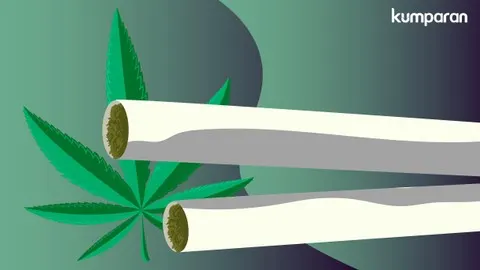 Memahami Modus Peredaran Ganja Jaringan Medan-Jakarta-Bandung Melalui Instagram