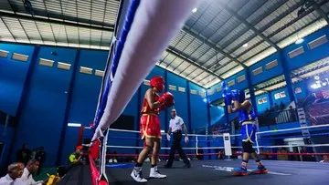 Cara Mengubah Energi Tawuran Jalanan Menjadi Prestasi di Ring Tinju Resmi