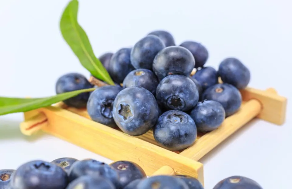 Cara Menyimpan Blueberry agar Tetap Segar dan Bebas Jamur