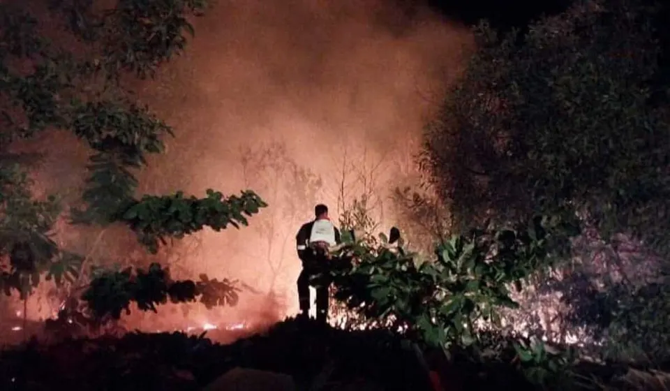 70 Persen Titik Api Karhutla Berada di Kawasan Konsesi Perusahaan