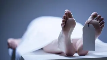 Pentingnya Memahami Kondisi Medis Sebelum Bermain Wahana Rumah Hantu Berkaca dari Insiden Tulungagung
