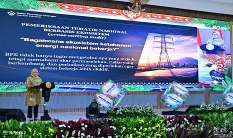 Pemeriksaan Tematik BPK untuk Mengawal Program Ketahanan Energi Nasional