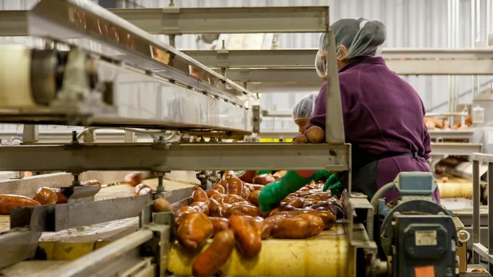 PMI Manufaktur Indonesia Juli 2026 Tembus Level Ekspansi, Apa Saja Catatan Penting Kadin?