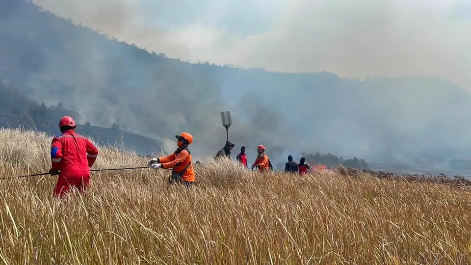 Kebakaran Hutan Gunung Bromo Belum Padam, TNI Angkatan Laut Turun Tangan