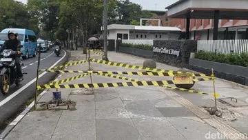 Aturan Penebangan Pohon di Bandung, Memahami Regulasi dari Kasus Penyegelan di Jalan LLRE Martadinata