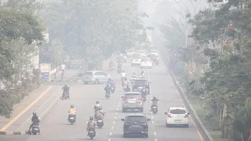 Menyesuaikan Kegiatan Belajar di Sekolah Saat Kabut Asap Melanda Palangka Raya