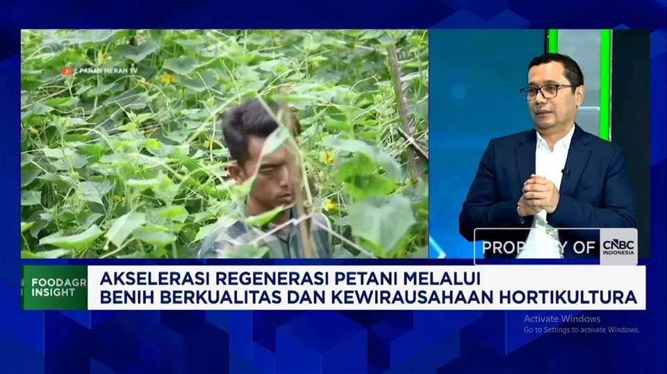 Inovasi Benih Sayuran Domestik yang Adaptif Terhadap Cuaca Ekstrem dan Tahan Hama