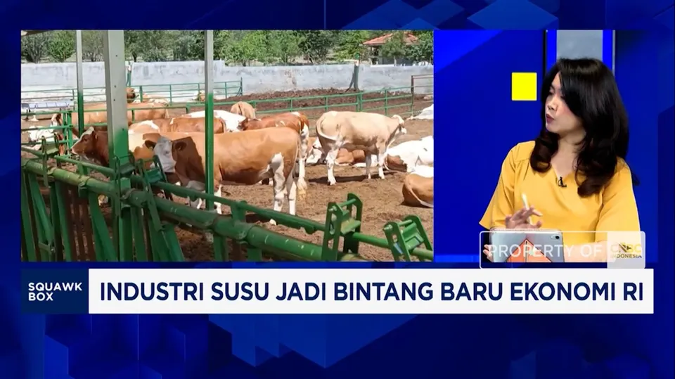 Kebutuhan Susu Nasional Melonjak Akibat Program MBG, Mengapa Impor Masih Mendominasi?