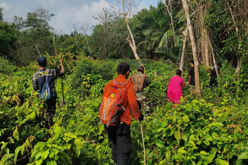 Tim SAR Gabungan Cari Lansia 80 Tahun yang Hilang di Perkebunan Meranti